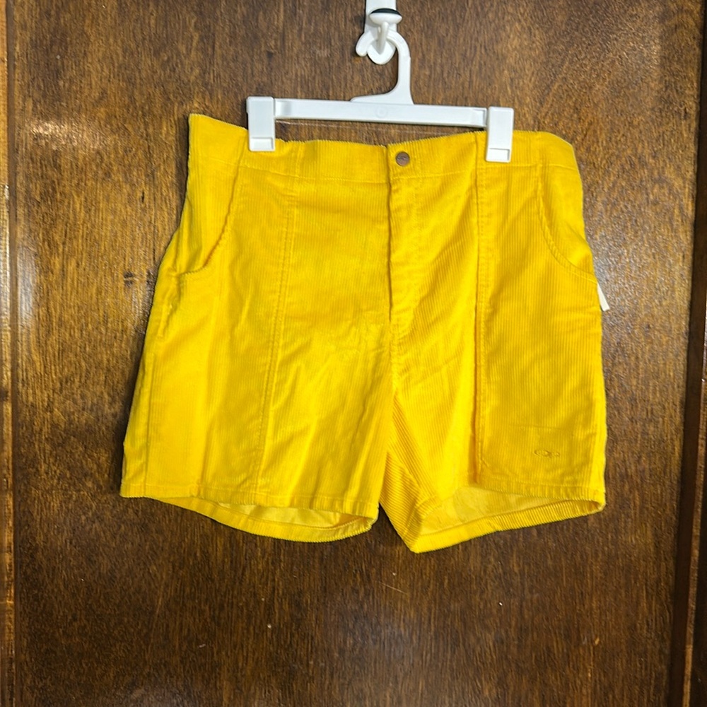 Vintage OP Surf and Skate Corduroy Shorts